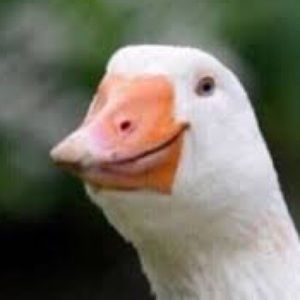 Meet your Posher, Caleb